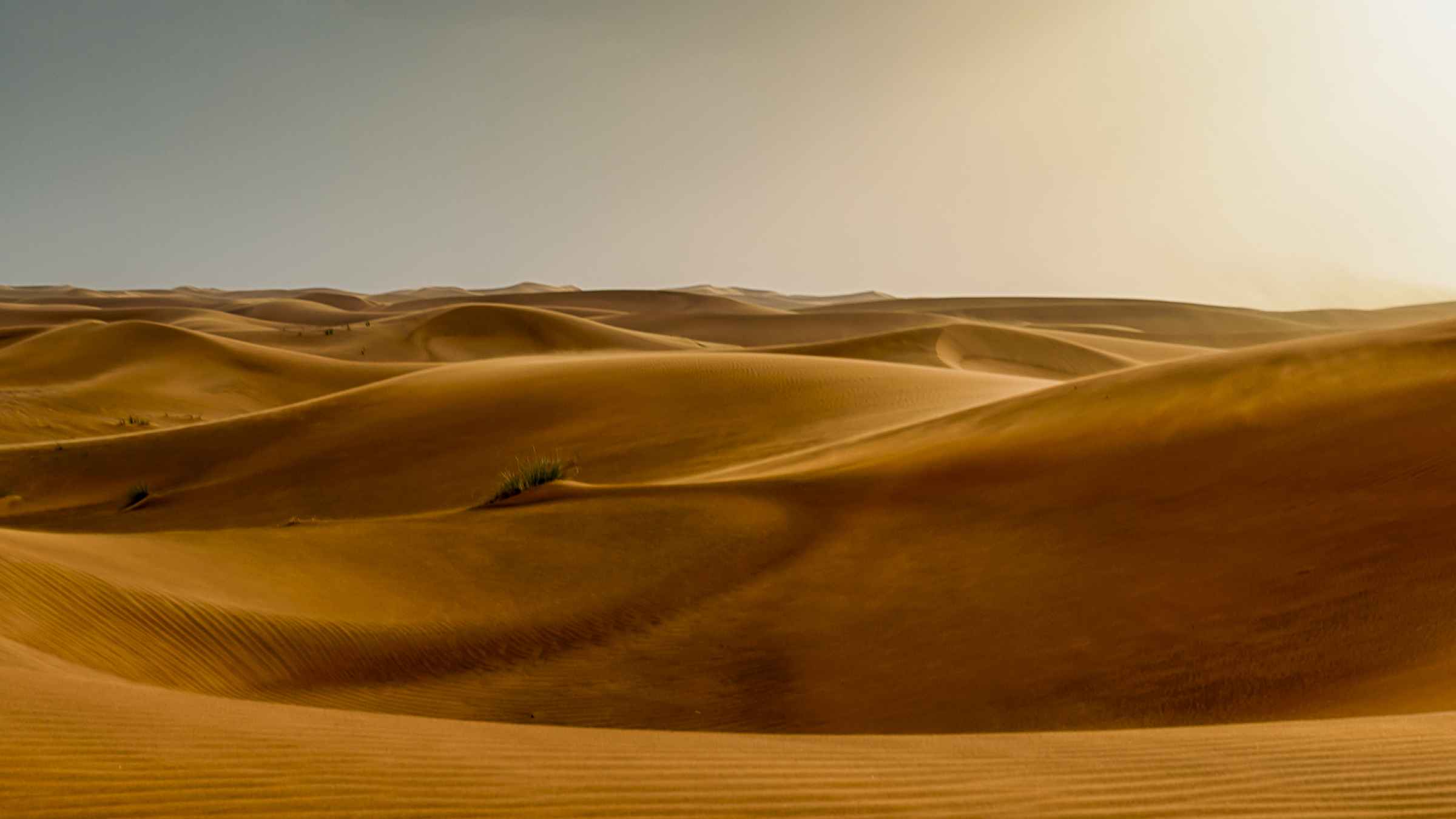 Online platform for tours, attractions, and activities