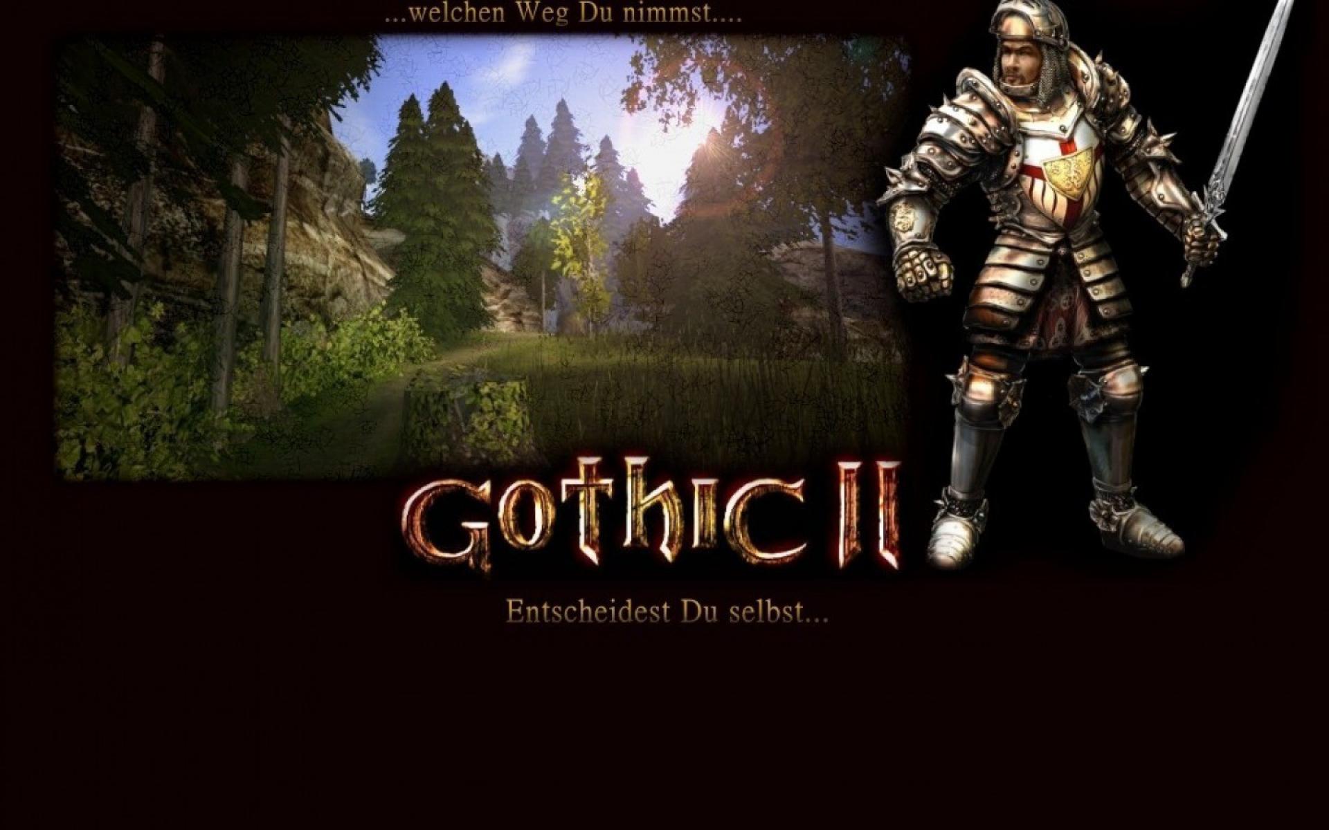 Gothic на steam вылетает фото 114