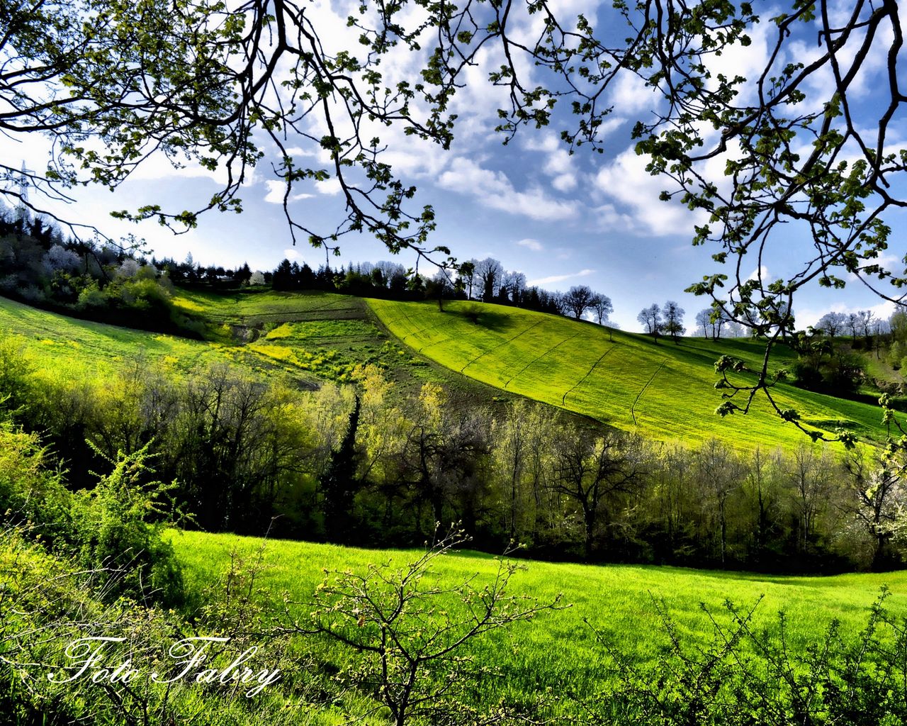 Download wallpaper 1280x1024 spring, fields, trees, greenery standard 5:4 HD background