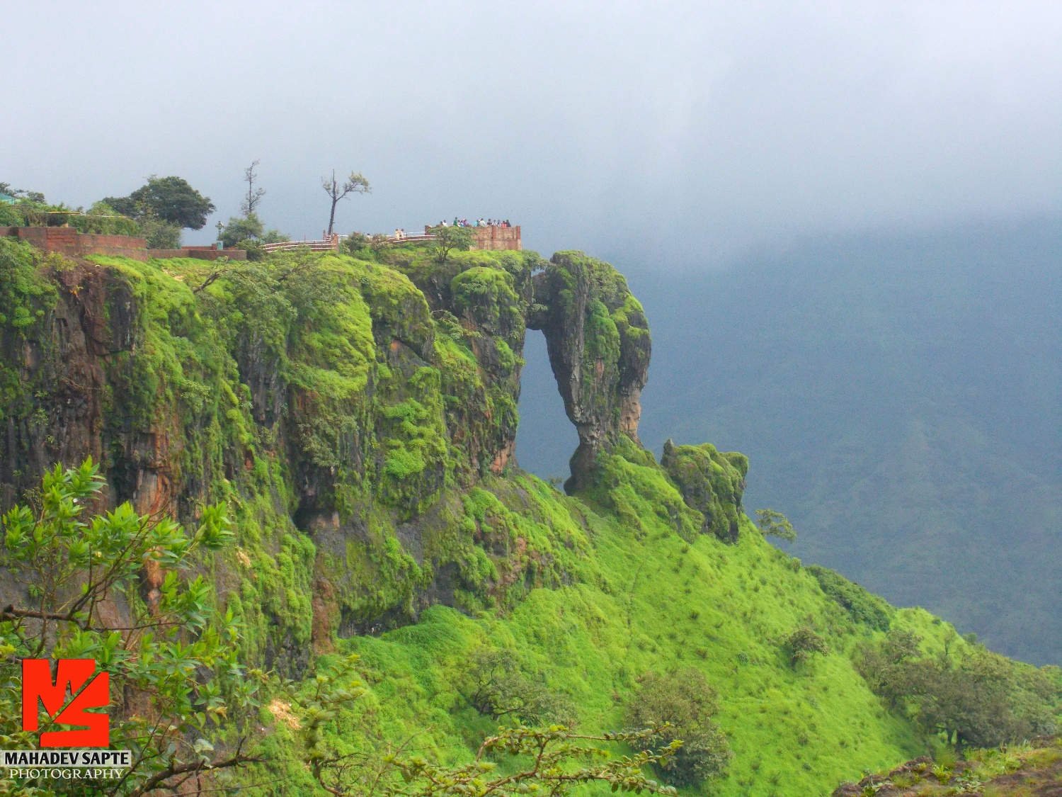Elephant s Head Point Original Photo Mahabaleshwar, mahabaleshwar elephant head point on Rediff Pages