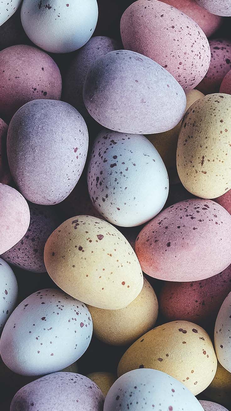 Nahtlose Osterschmuck Mit Bunten Eiern Und Floralen Elementen Stock Vektor  Art und mehr Bilder von Ostern  iStock