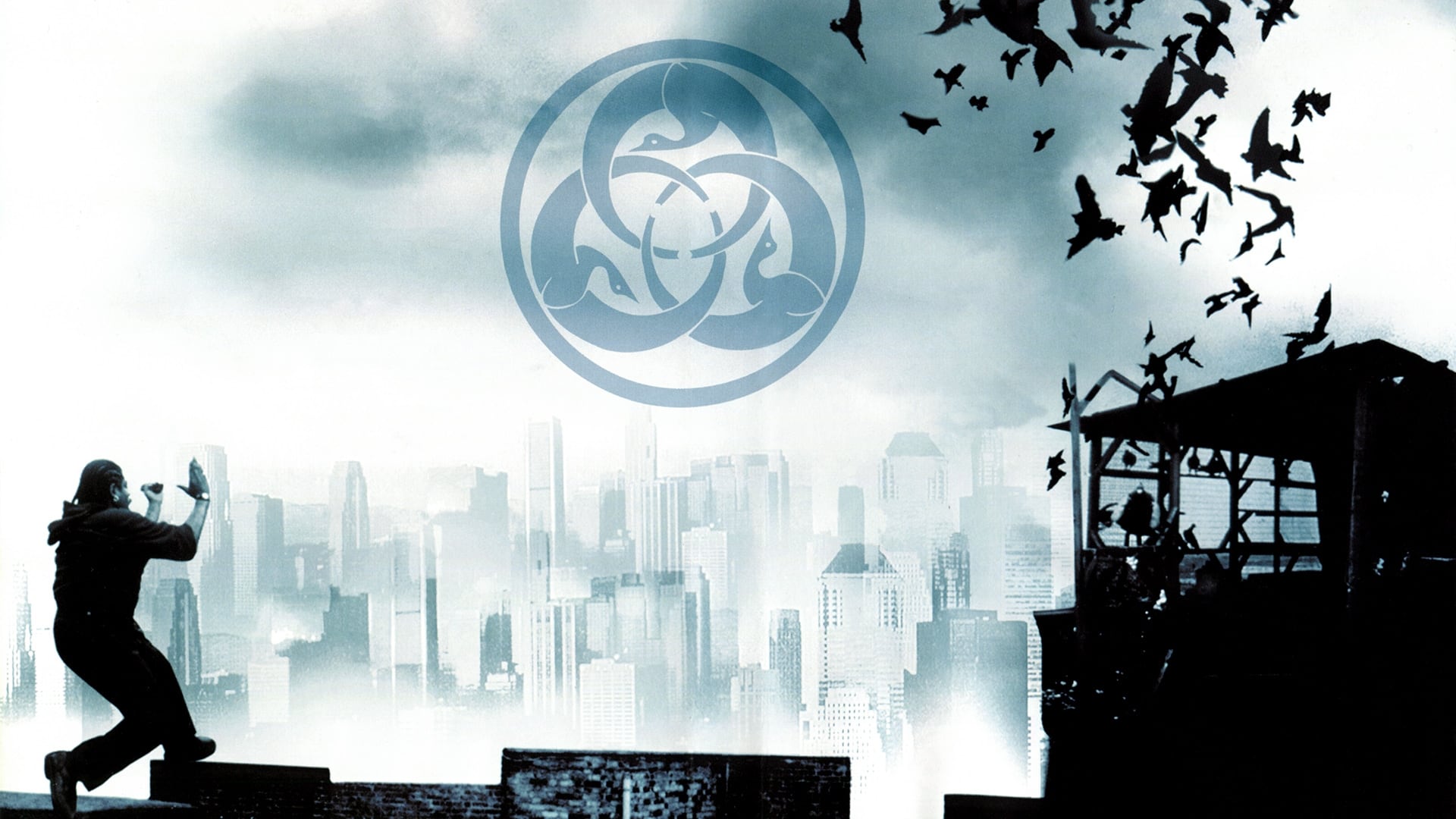 Amazing The Way Of The Dog Landscape for Your Screen Amazing The Way Of The Dog Landscape for Your Screen