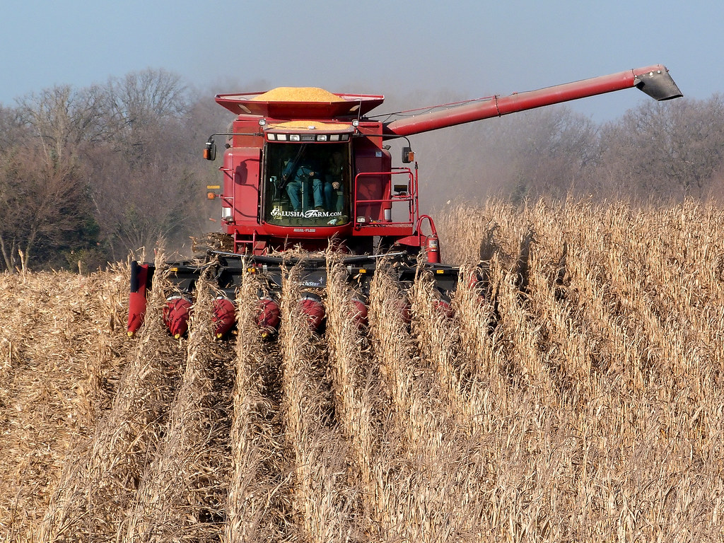 Galusha Farm IH 2388 Combine. Operator Steve Berning