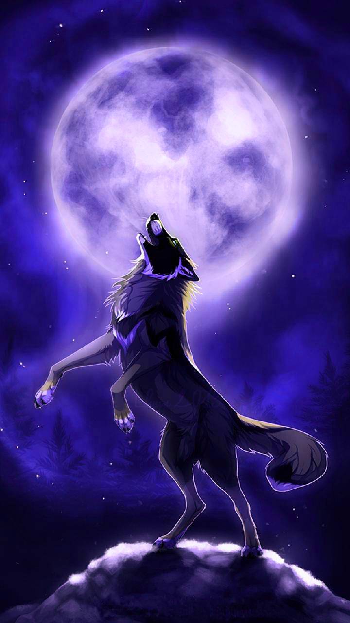 Mystical Wolf Wallpaper