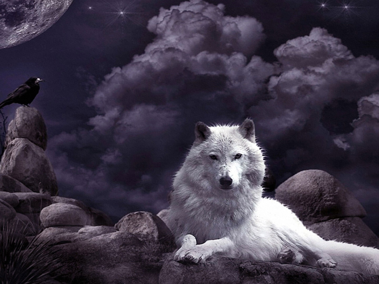 Wolf Wallpaper, Night Sky, Crow, Moon, Fantasy Art, White Wolf, Mystic • Wallpaper For You