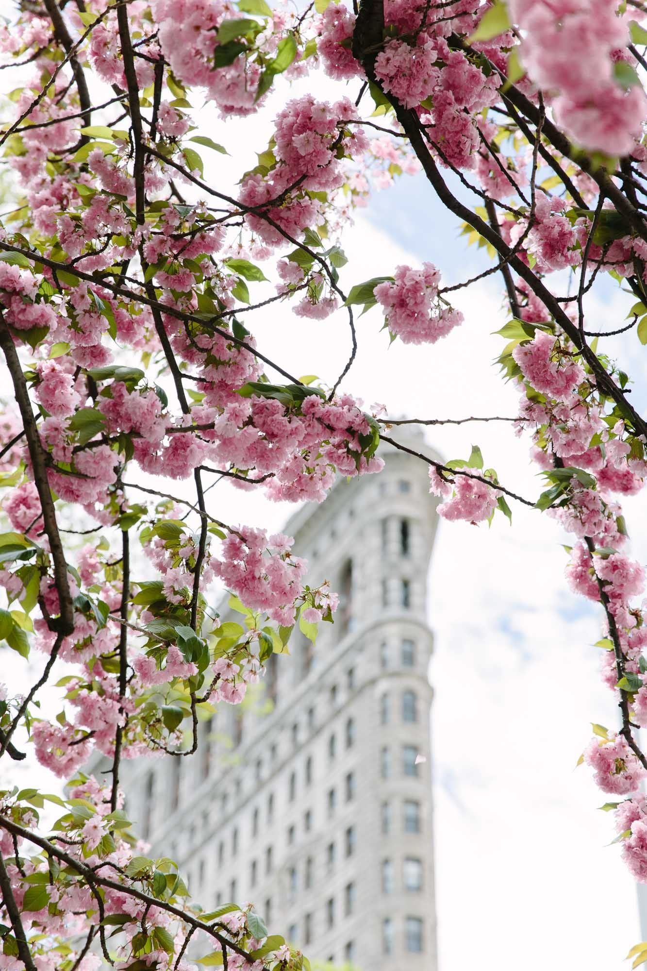 Spring in New York City. Photo Essays. York Avenue. Spring in new york, Spring photography, Autumn in new york