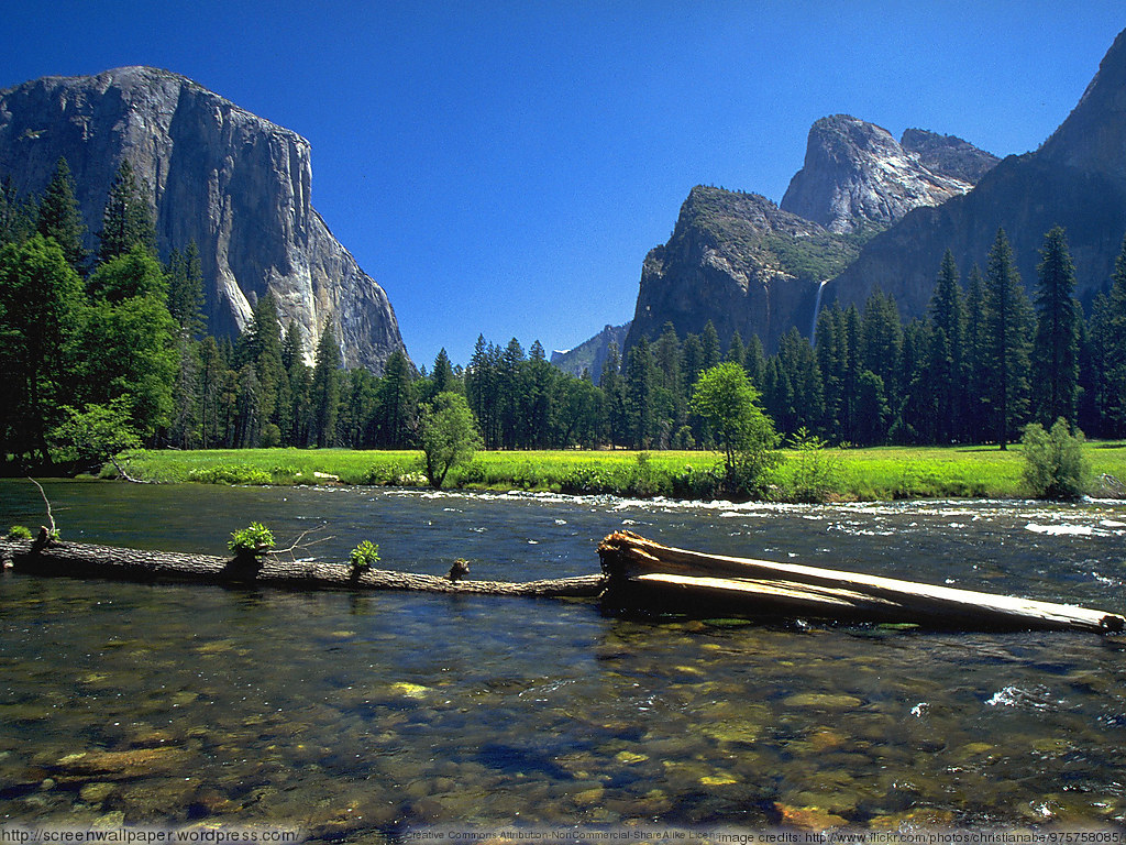 Yosemite Park Wallpaper