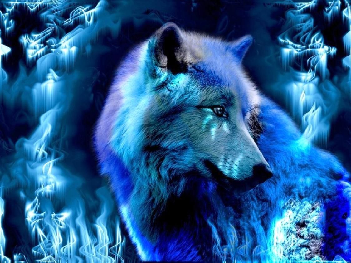 Cool Blue Wolf Wallpapers on WallpaperDog.