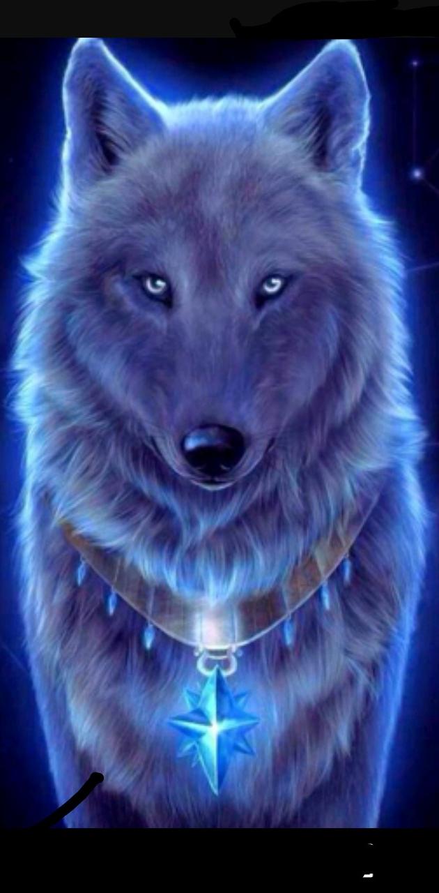 Galaxy blue wolf wallpaper
