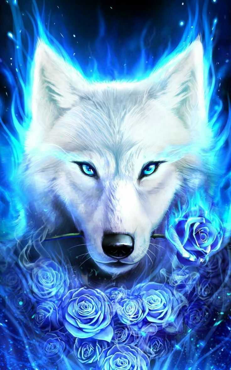 Cute Blue Wolf Wallpaper