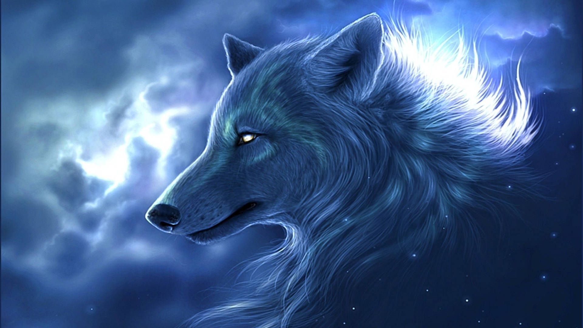 Wolf Wallpaper, Top Best Quality Wolf Background Download (4k, HD)