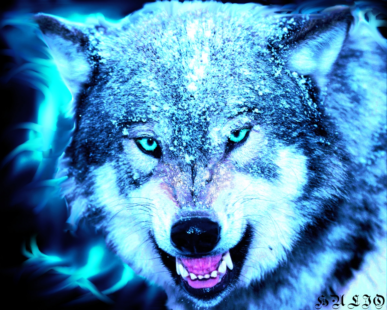 Cool Wolves, Cool Background Wallpaper & Background Download