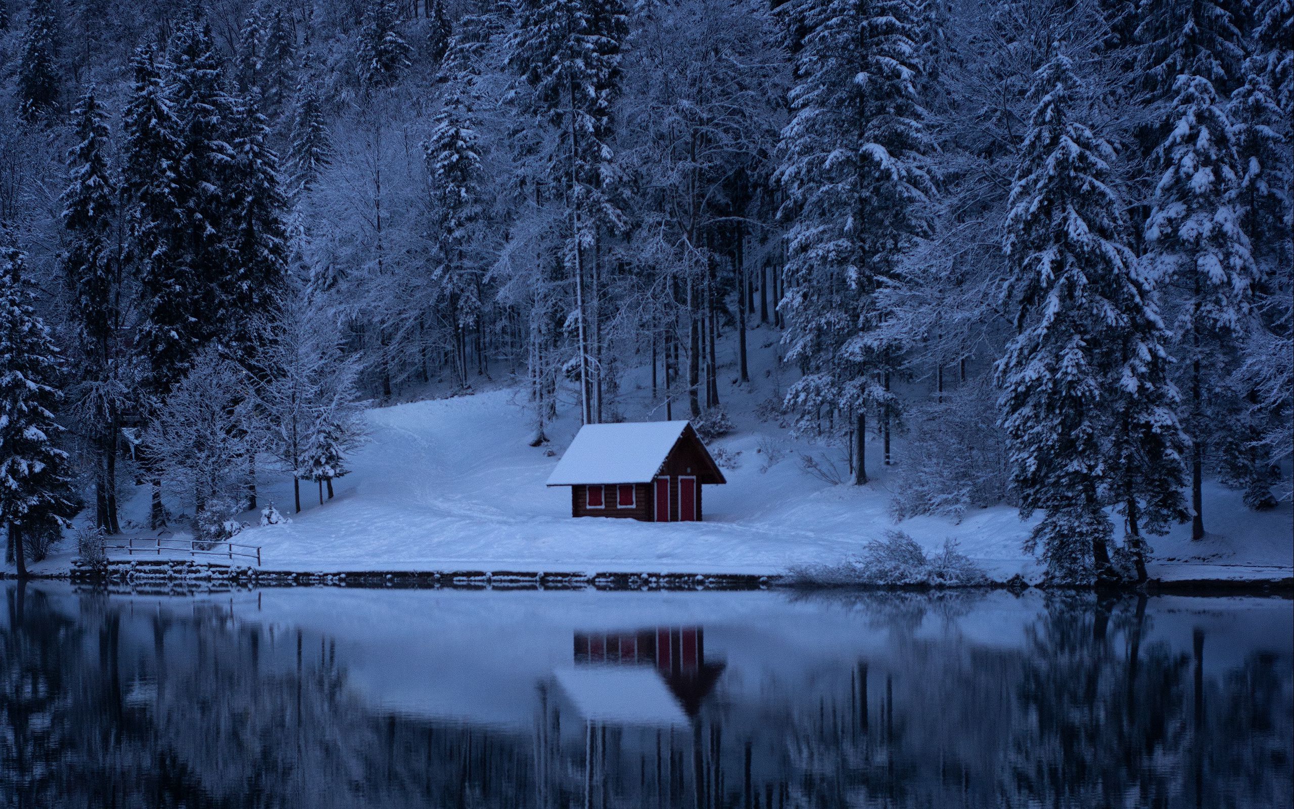Download wallpaper 2560x1600 lake, forest, snow, winter, trees widescreen 16:10 HD background