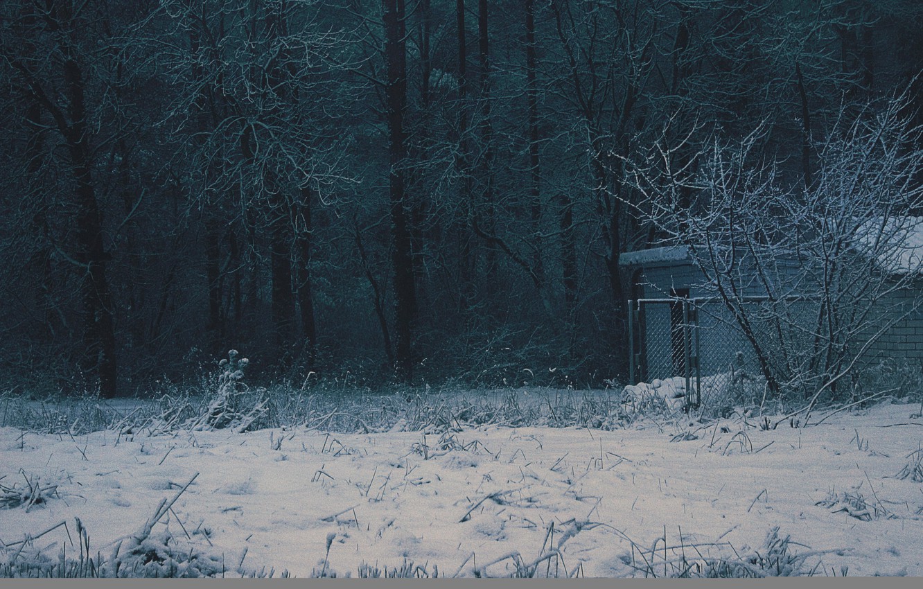 Мрачный зимний лес. Страшный зимний лес. Мрачный зимний пейзаж. Мрачный лес зимой. Темнота раннего зимнего