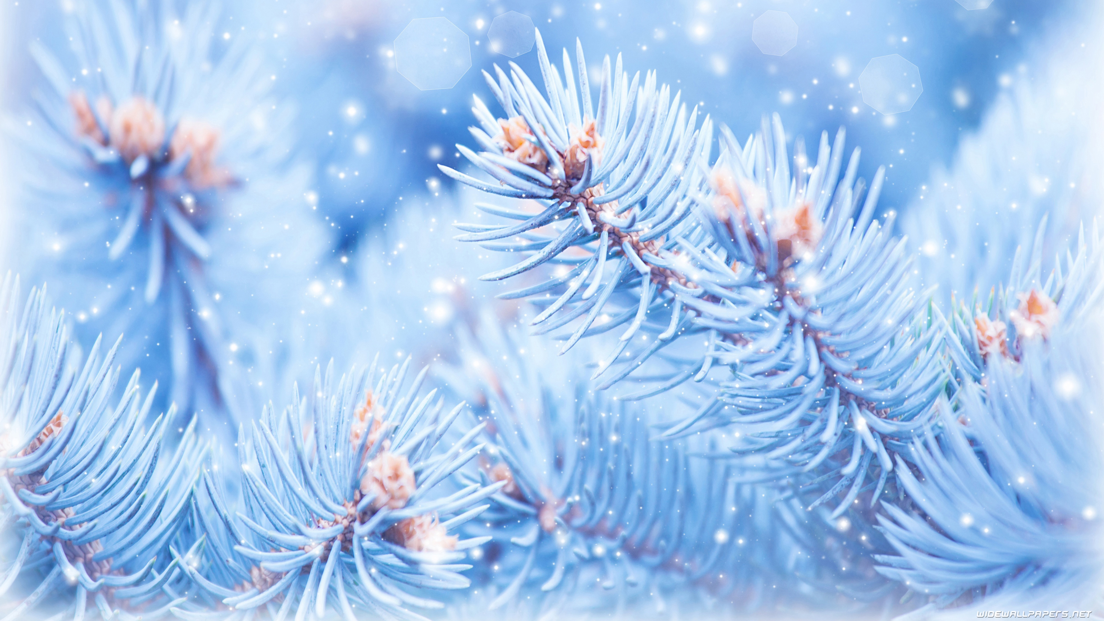 Winter desktop wallpaper 4K Ultra HD