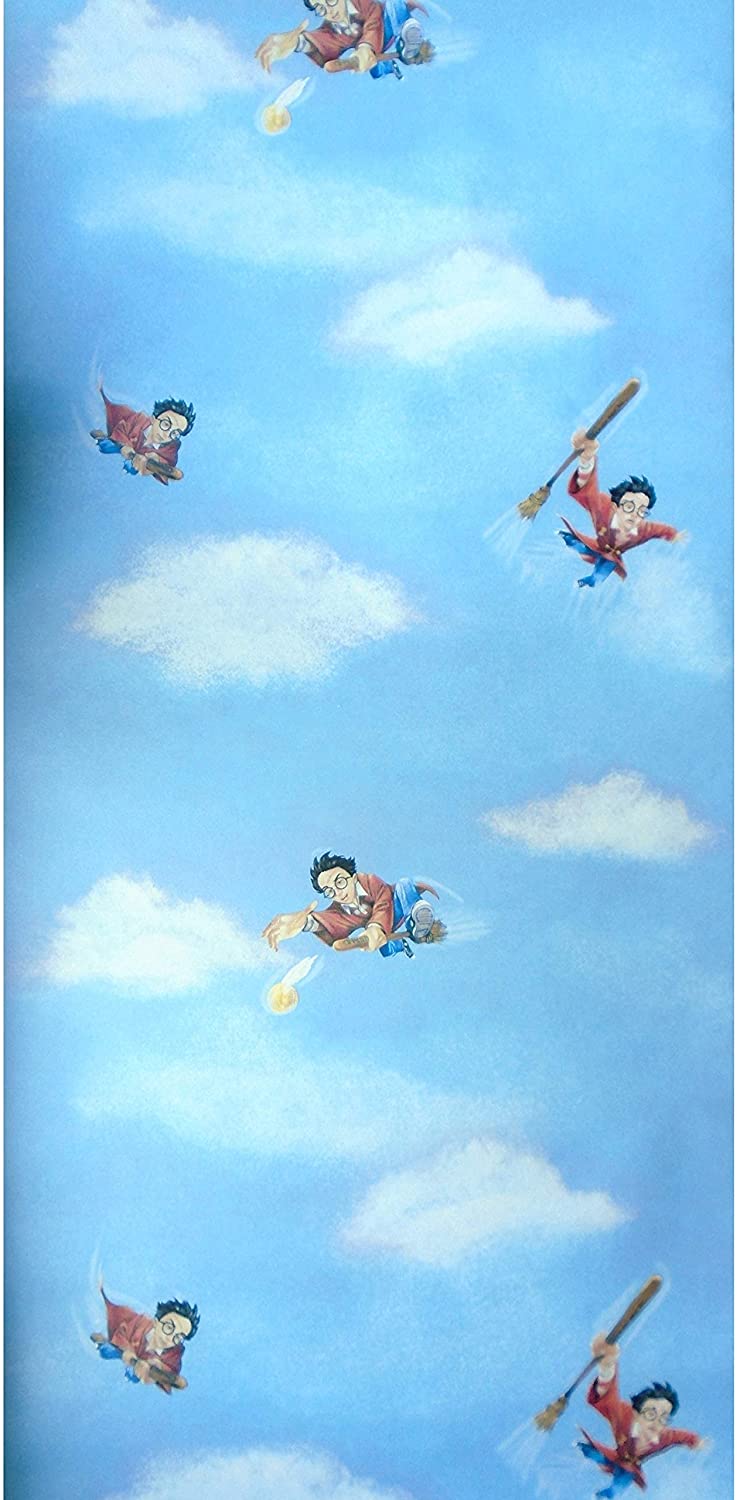 Gryffindor Quidditch Seeker Harry Potter Official Wallpaper, Wallpaper