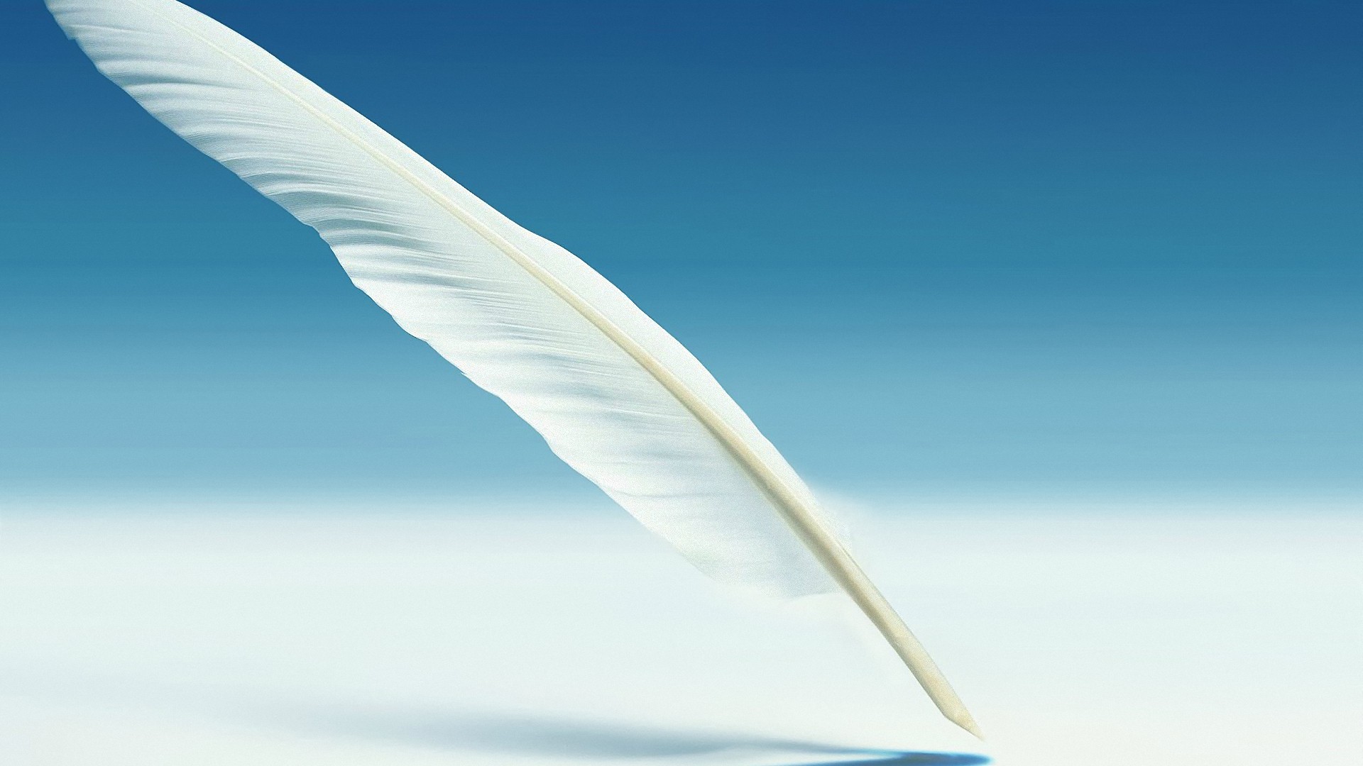 White feather pen HD wallpaper