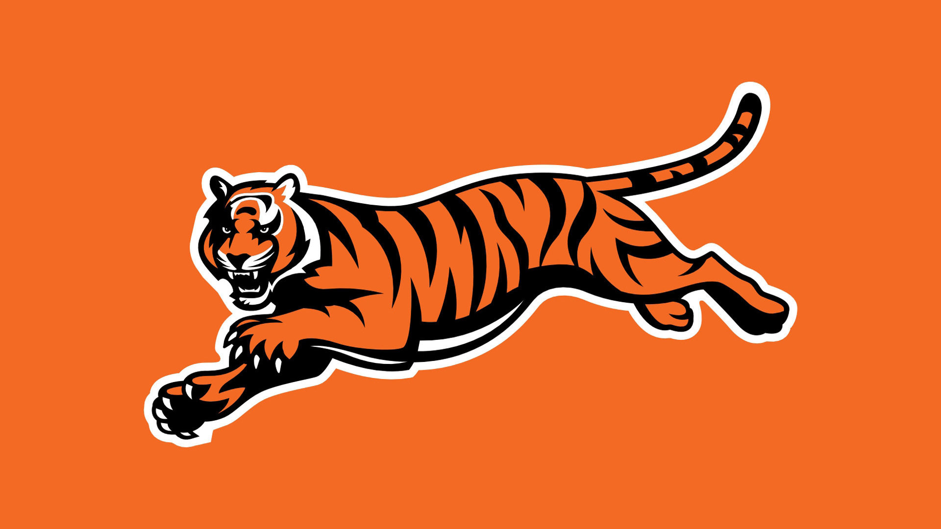 Cincinnati Bengals wallpaper HD for desktop background