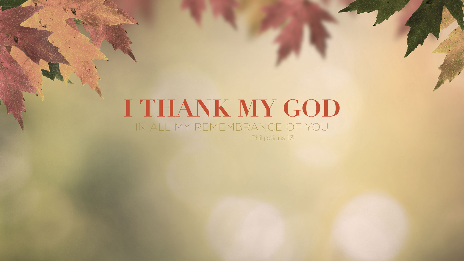 Wednesday Wallpaper: I Thank My God in All My Remembrance of You