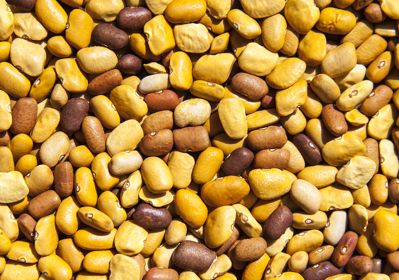 american-food-wallpapers-wallpaper-cave