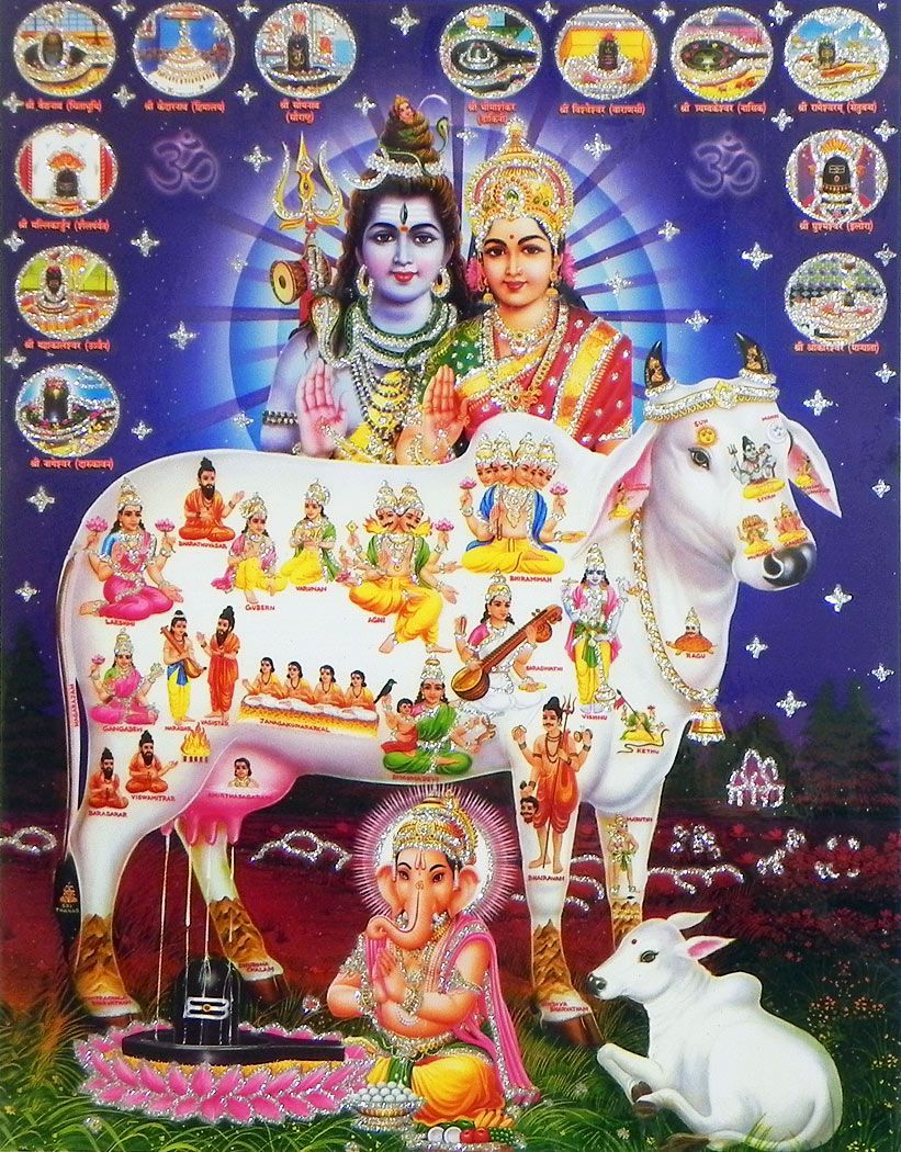 Kamdhenu, Shiva Parvati with Ganesha and Twelve Jytirlingas - (Laminated Glitter Poster). Lord shiva painting, Lord shiva family, Lord shiva