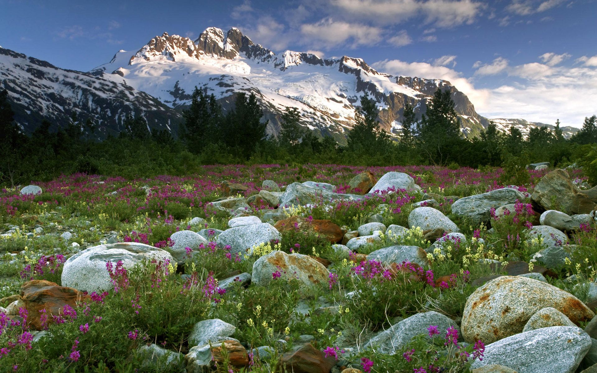 Visiting Canada Capped Mountains Wallpaper Wallpaper. Canada Landscape, Rock Garden, Landscape Wallpaper