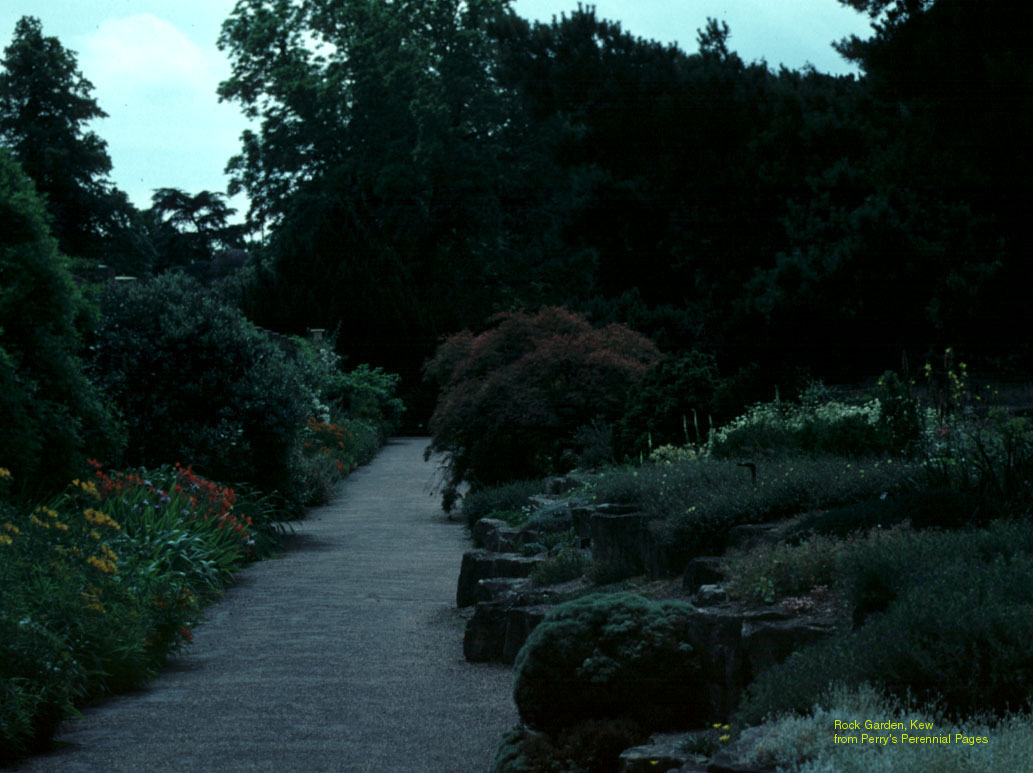 Perennial Background and Wallpaper