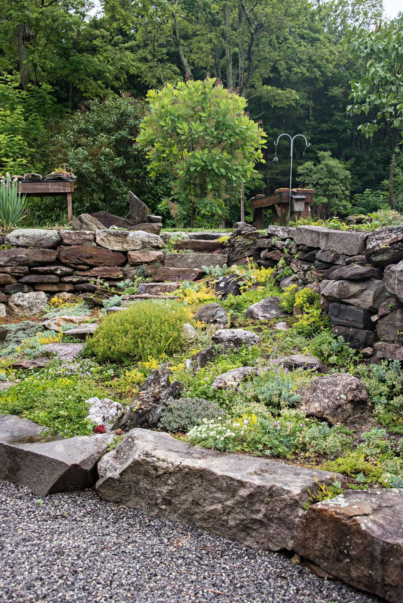 Rock Garden. Better Homes & Gardens
