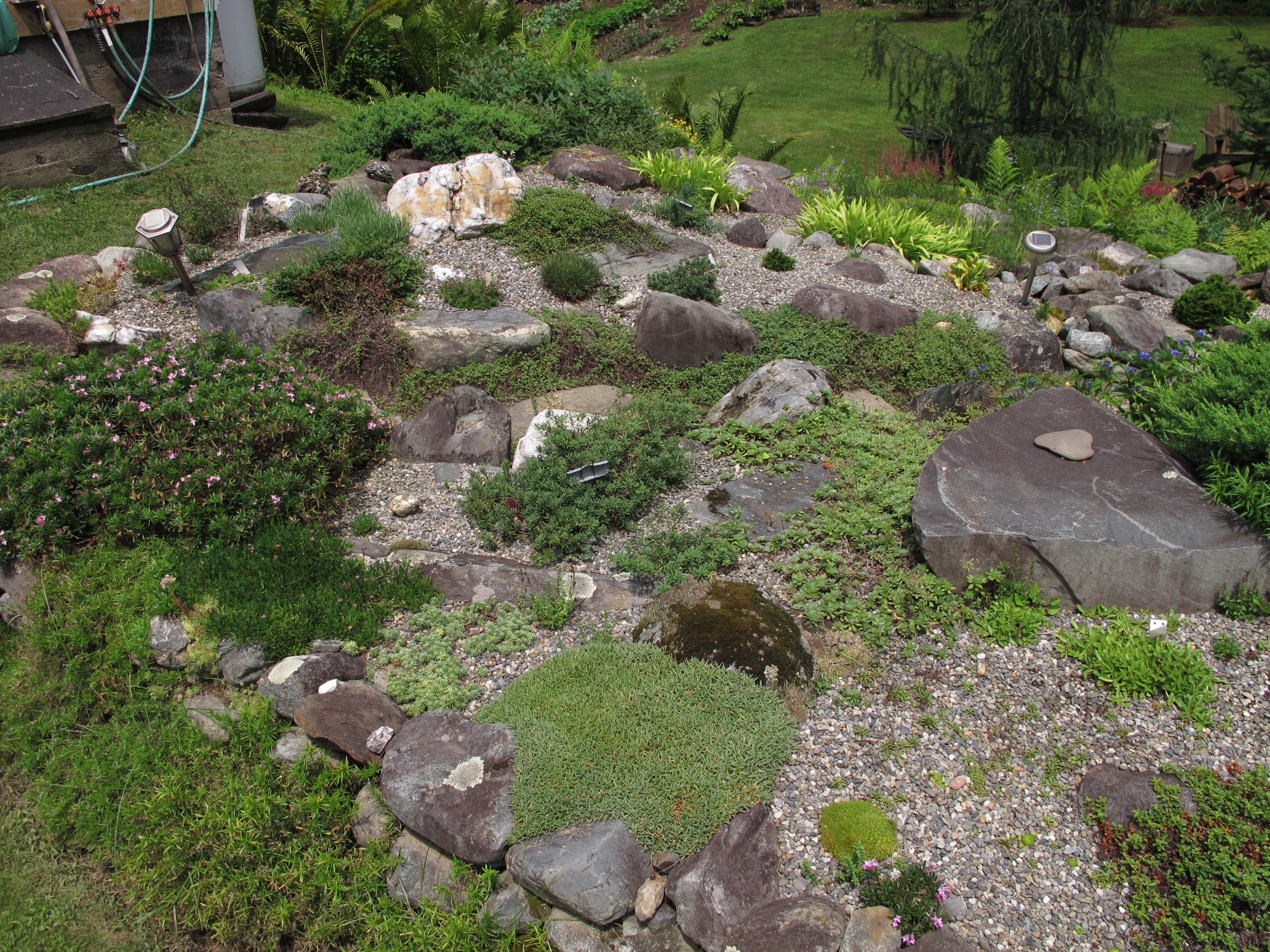 Rock Gardens. Rock garden, Rock garden design, Garden photo