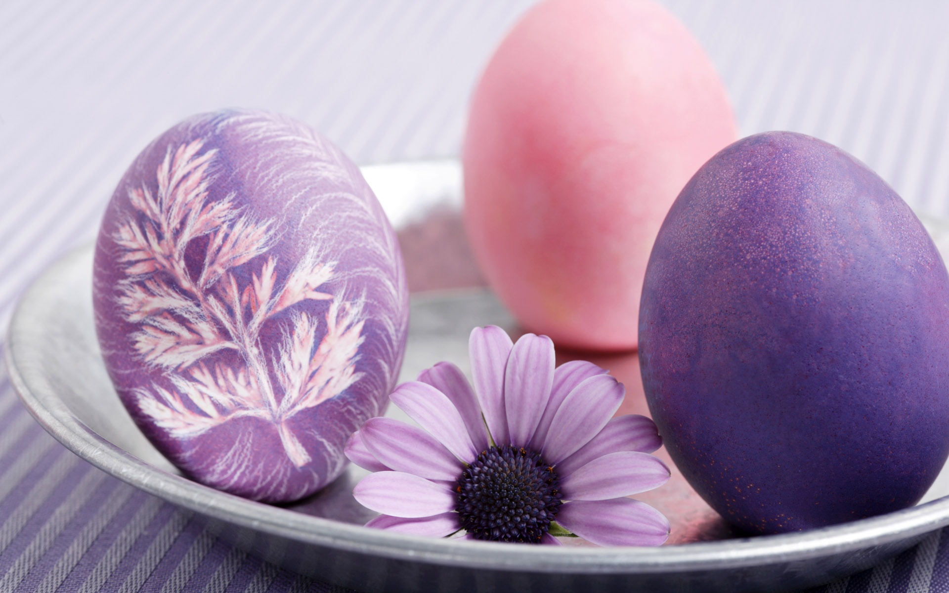 Purple Easter eggs desktop PC and Mac wallpaper