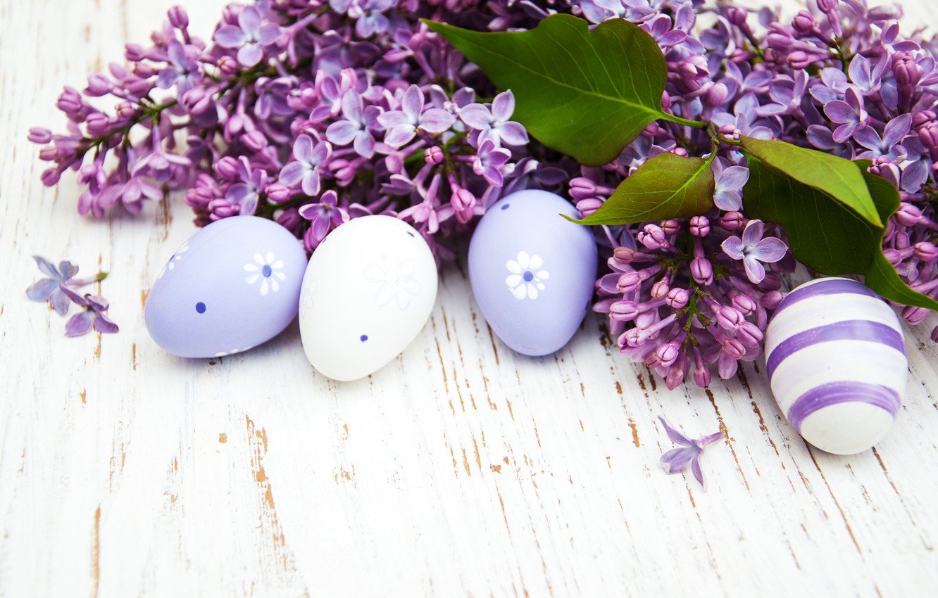 Wallpaper branches, eggs, spring, Easter, lilac, composition, Olena Rudo image for desktop, section праздники