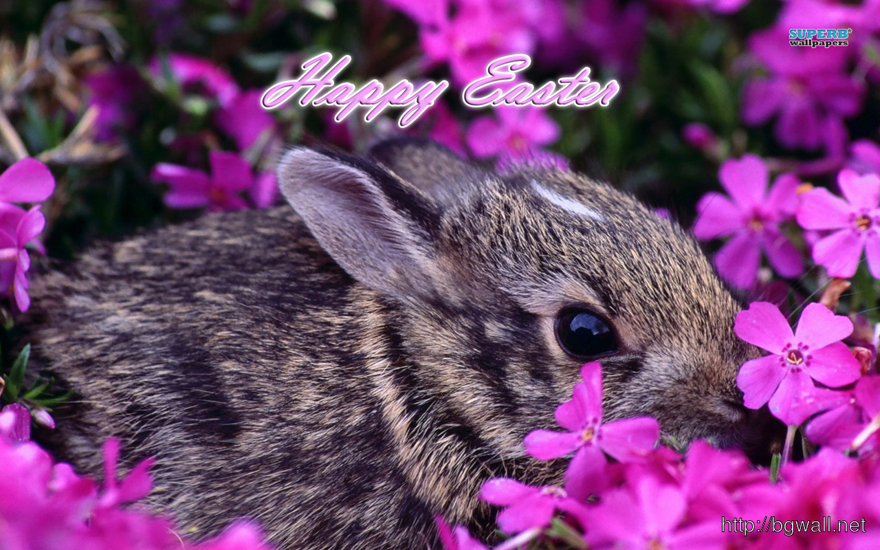 Free download Easter Bunny Wallpaper Background Wallpaper HD [1280x800] for your Desktop, Mobile & Tablet. Explore Easter Bunny Wallpaper. Happy Easter Wallpaper, Free Easter Wallpaper Background, Easter Wallpaper for Computer