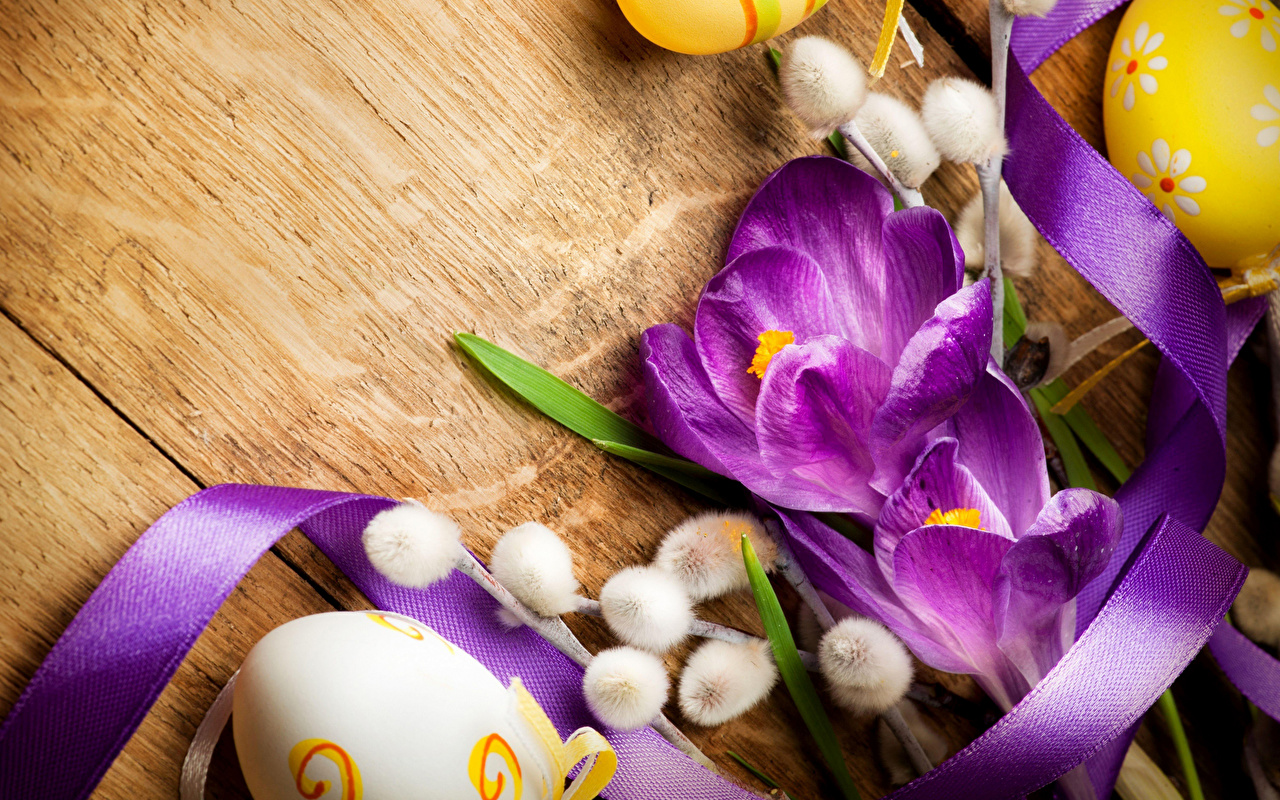 Desktop Wallpaper Easter Violet Flowers Crocuses