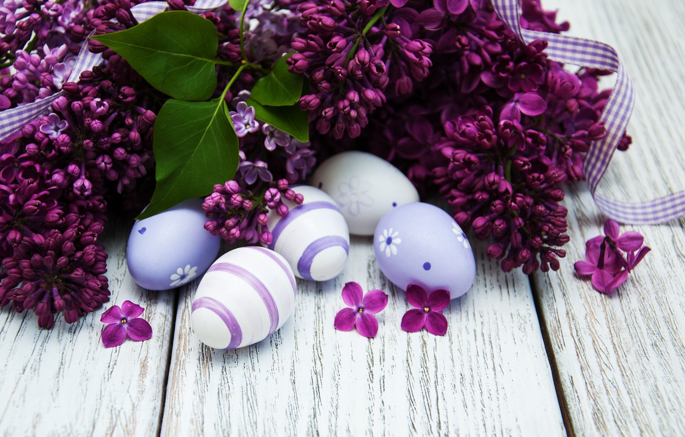 Wallpaper flowers, eggs, Easter, happy, wood, flowers, lilac, Easter, purple, eggs, decoration, lilac image for desktop, section праздники