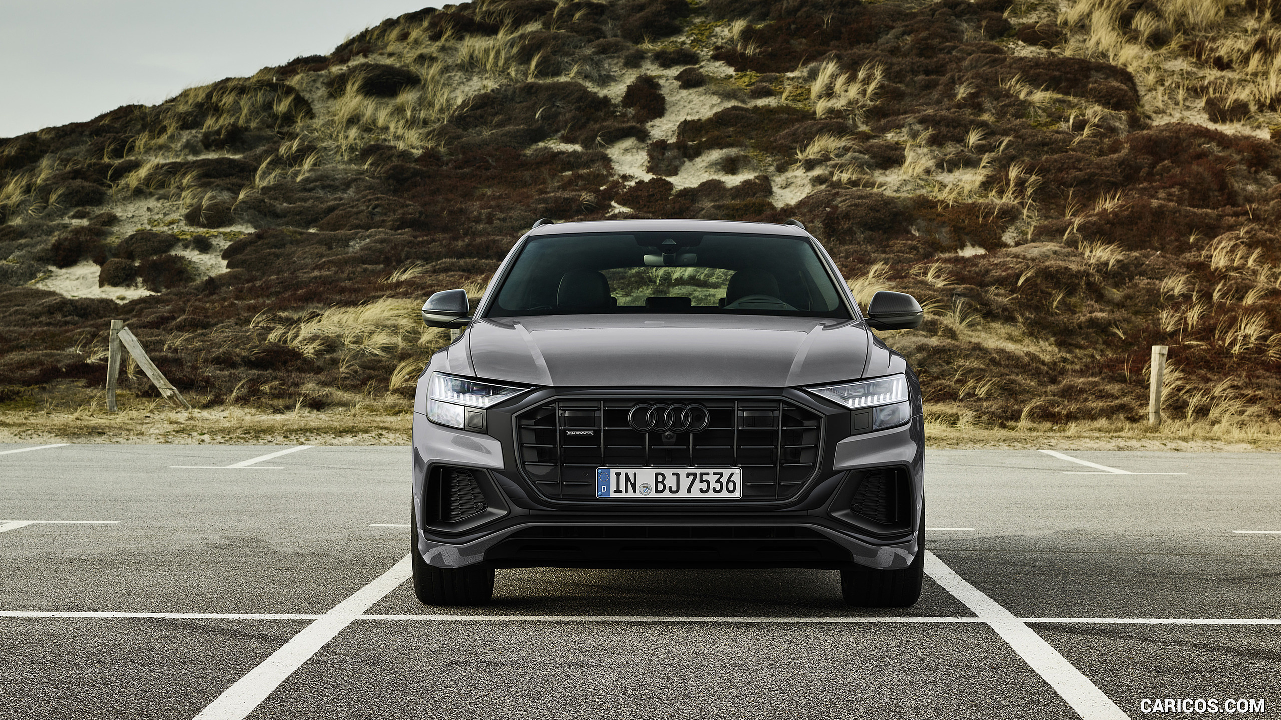 2022 Audi Q8 S Line Competition Plus (Color: Nardo Gray)