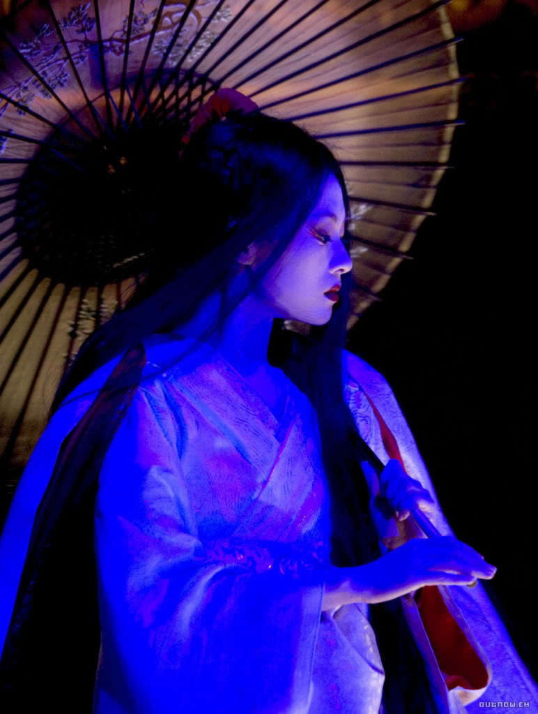 Memoirs of a Geisha of a Geisha Photo