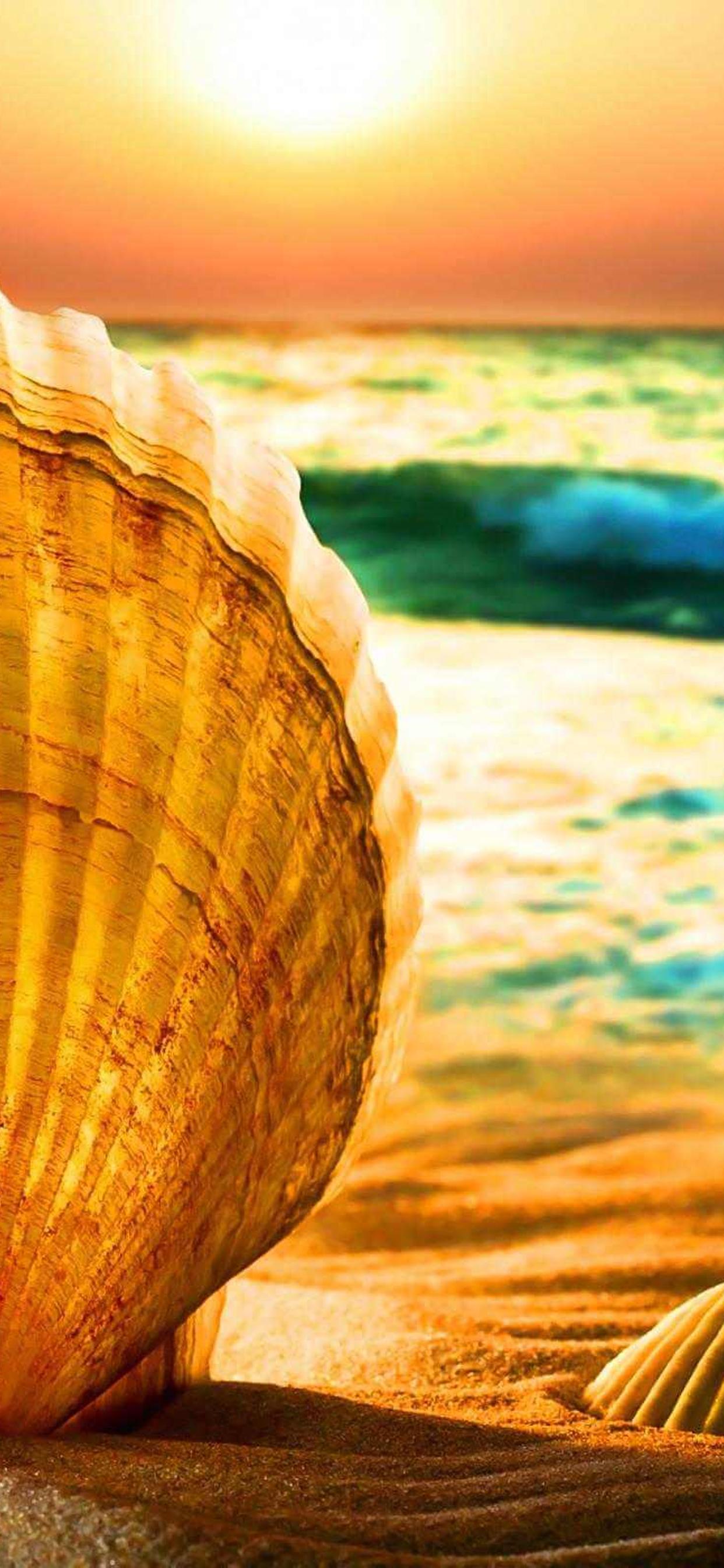 iPhone 11 Pro Summer Wallpapers - Wallpaper Cave