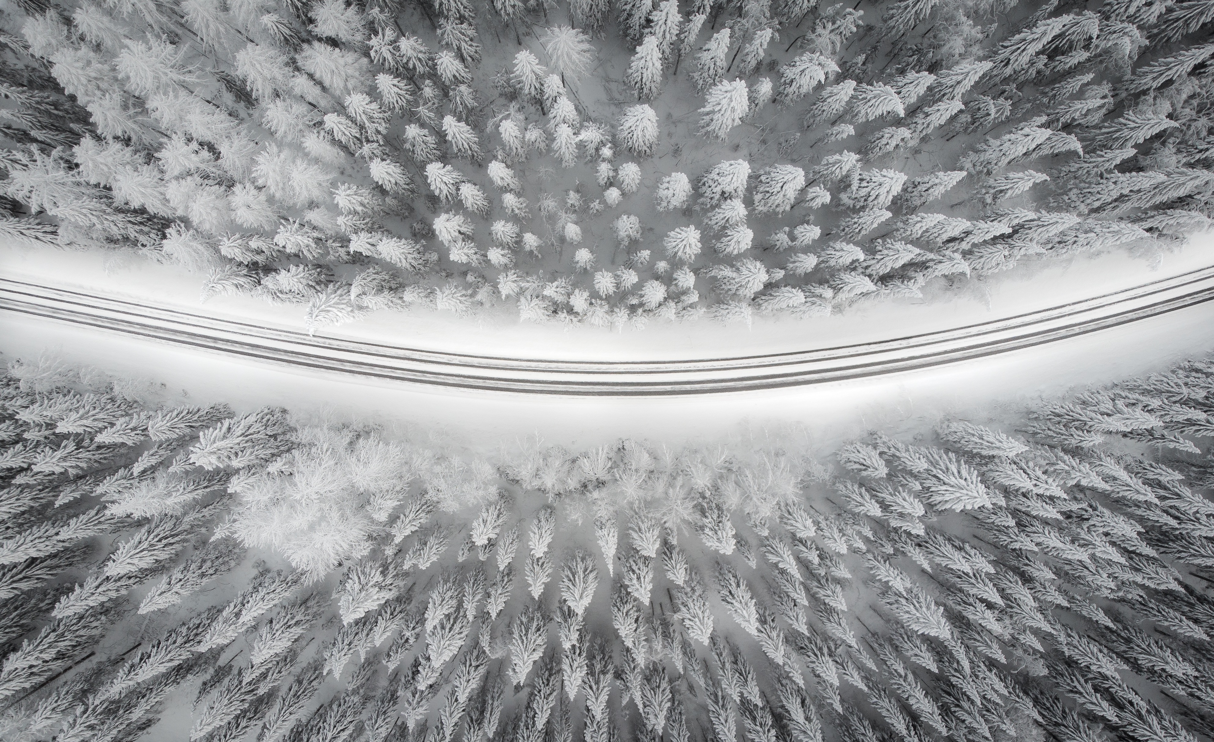 Wallpaper: Free HD Download [HQ]