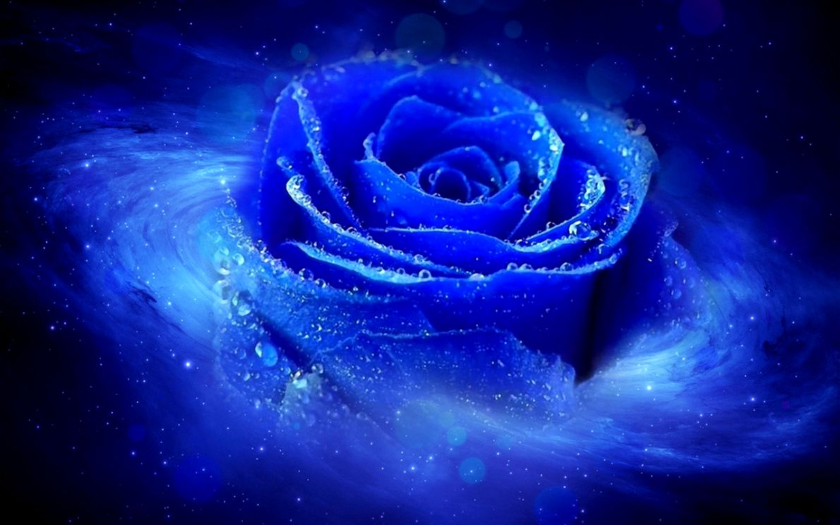 Hd Cool 3D Blue Rose Desktop Wallpaper Background Blue Rose Background Wallpaper & Background Download