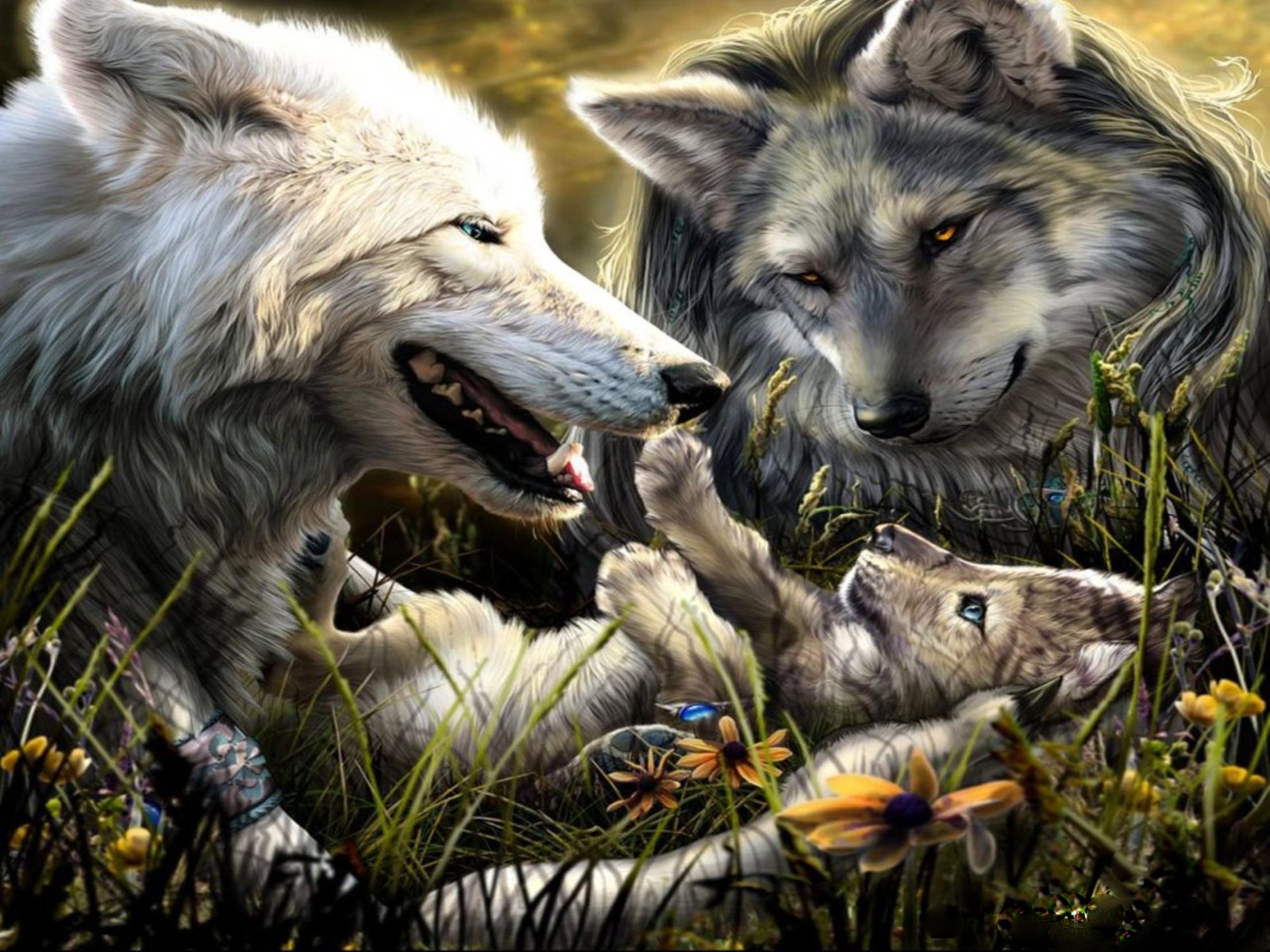 Wolf family Wallpaper and Background Imagex1200