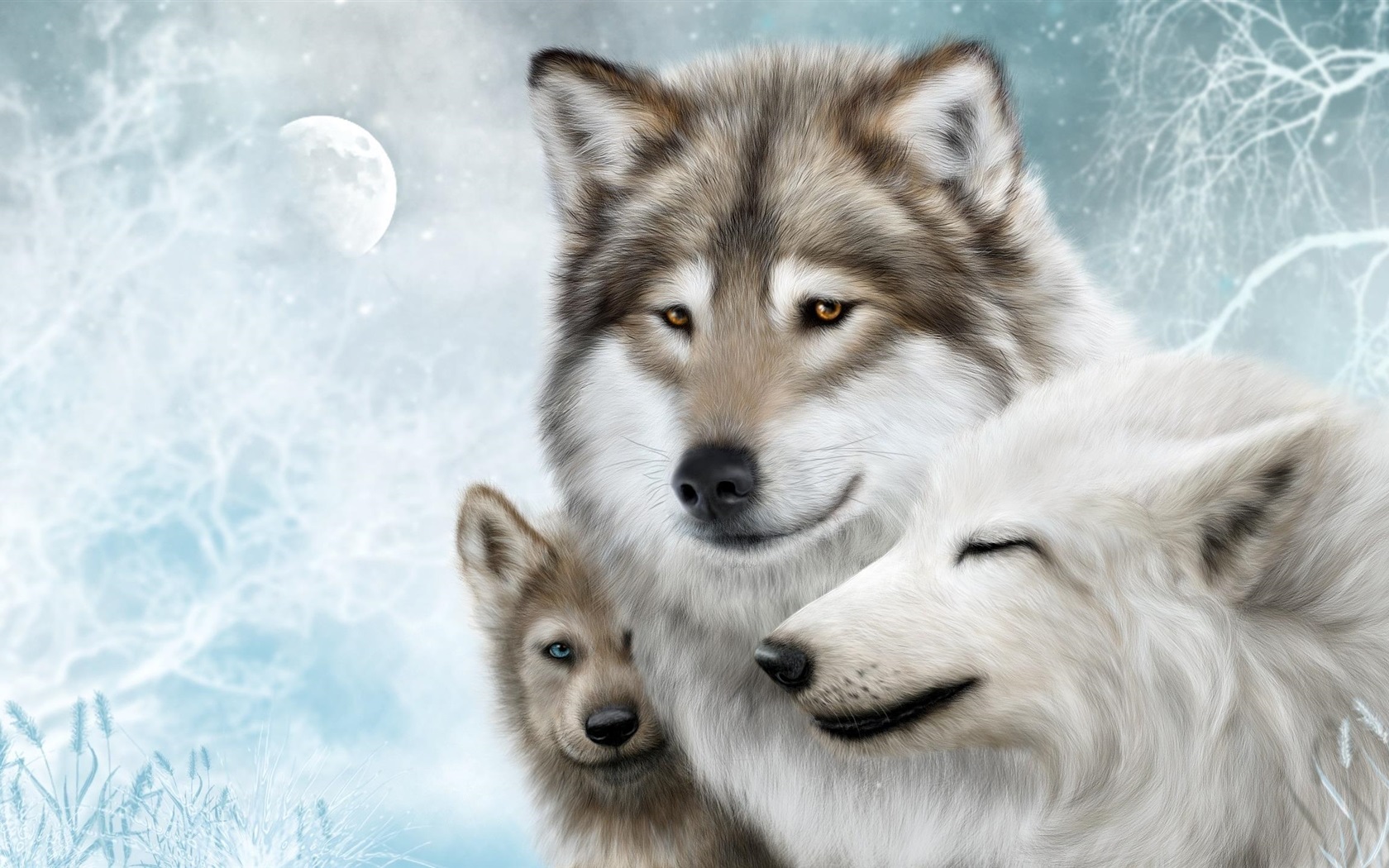 Wallpaper Wolf family, moon, snow, winter 2560x1440 QHD Picture, Image