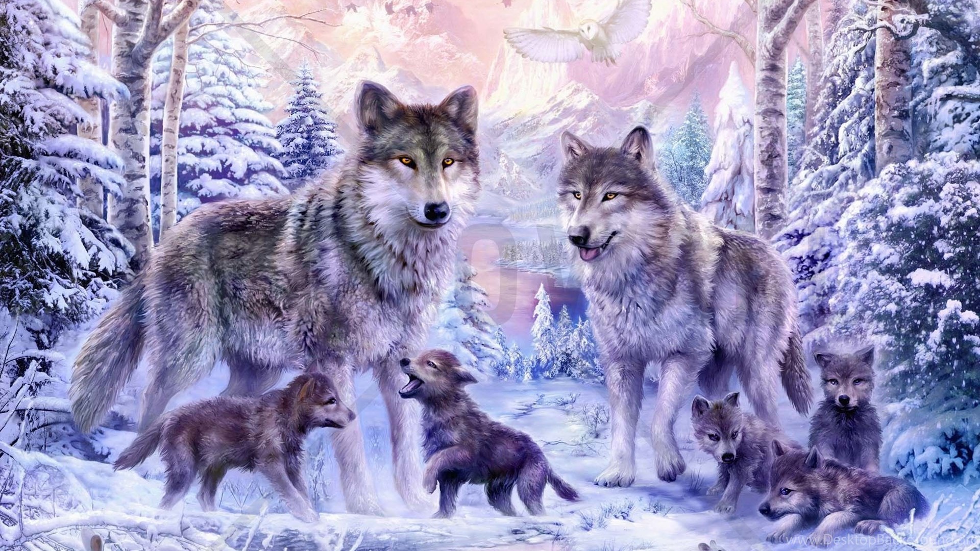 Winter Wolf Family Wall Mural & Photo Wallpaper Photowall Desktop Background