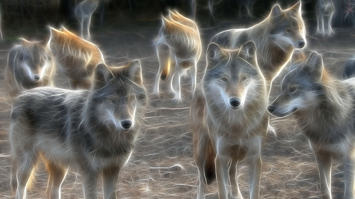 Animated Wolf Wallpaper
