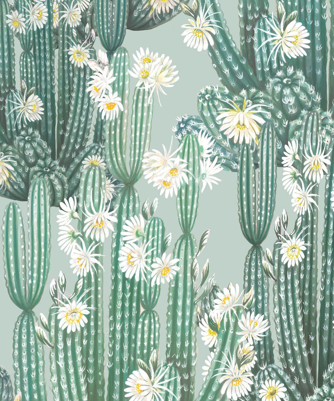 San Pedro Wallpaper • Cactus Wallpaper USA