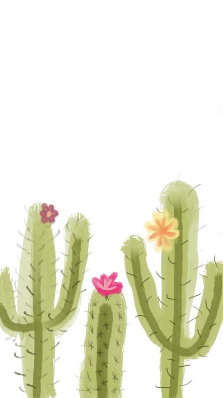 Wallpaper HD: Aesthetic, Cactus, Wallpaper, Top, Free, Aesthetic, Cactus