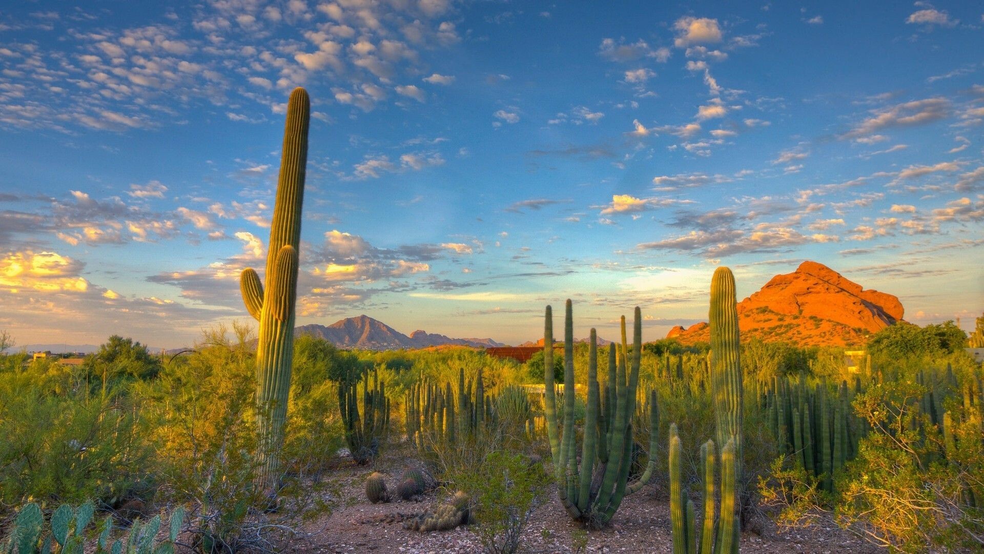 Aesthetic Arizona Wallpapers - Wallpaper Cave