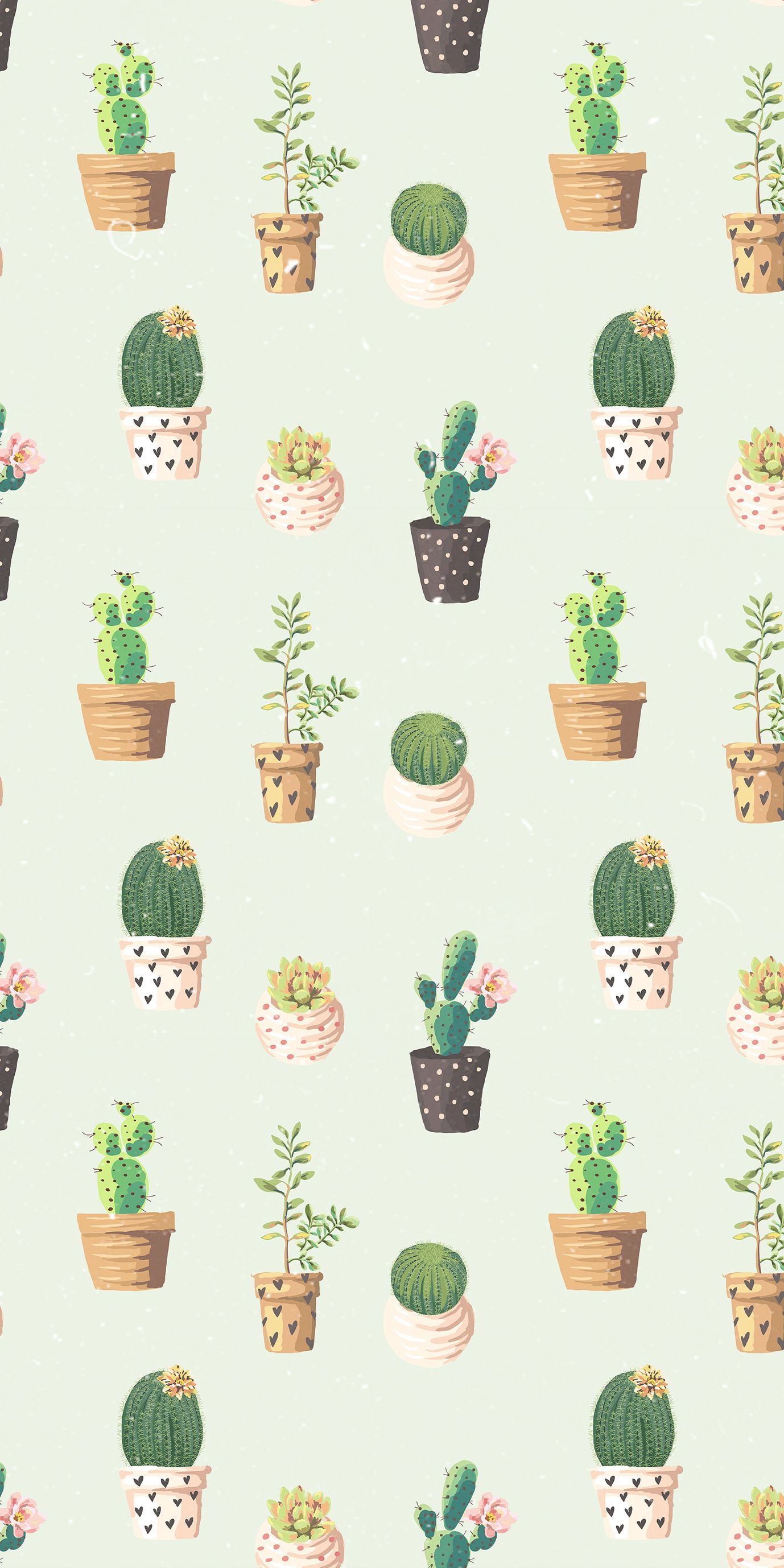 cactus wallpaper patterm iphone. Succulents wallpaper, Cute wallpaper for phone, iPhone background pattern