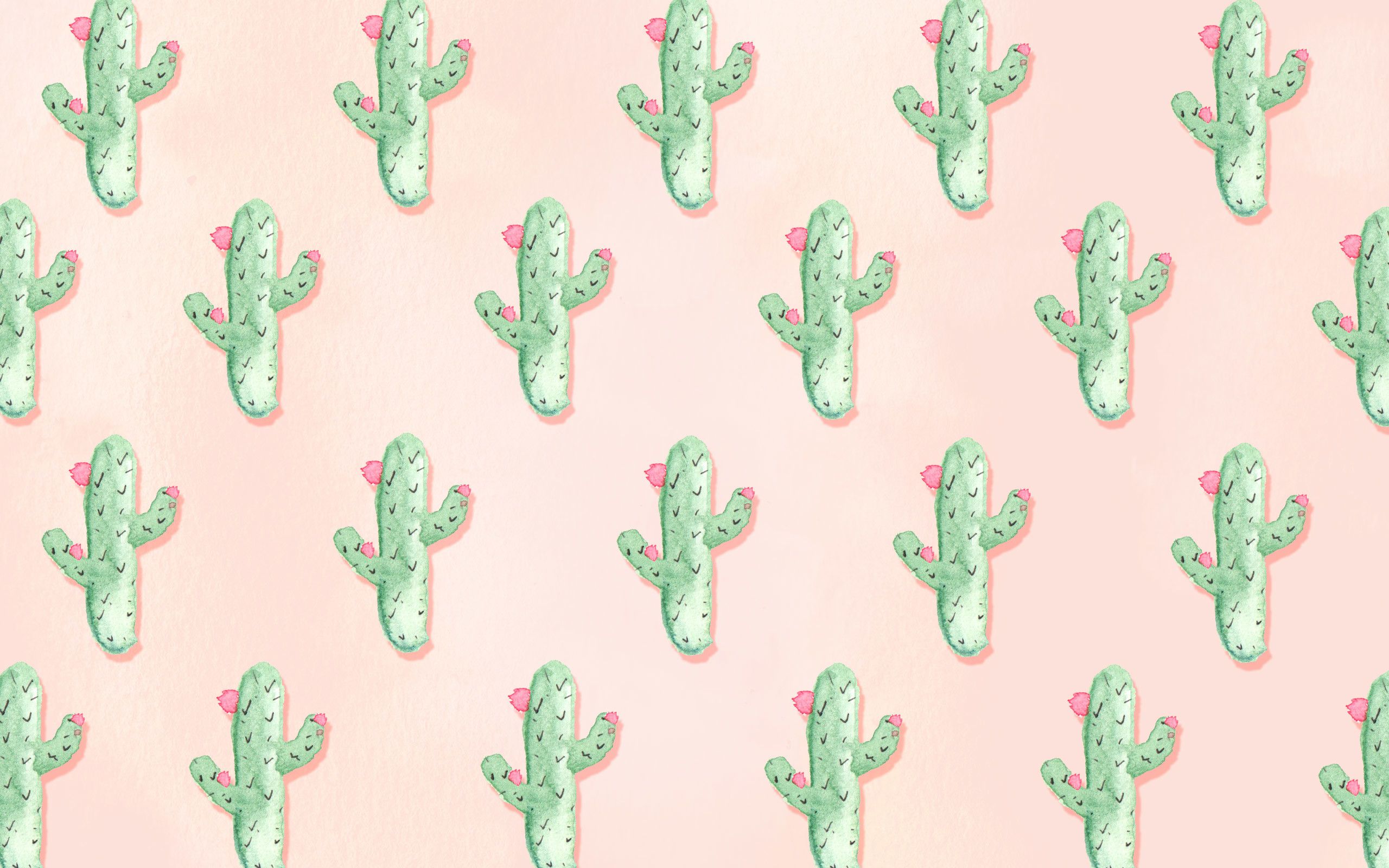 Cute Cactus Wallpaper Computer Free Download