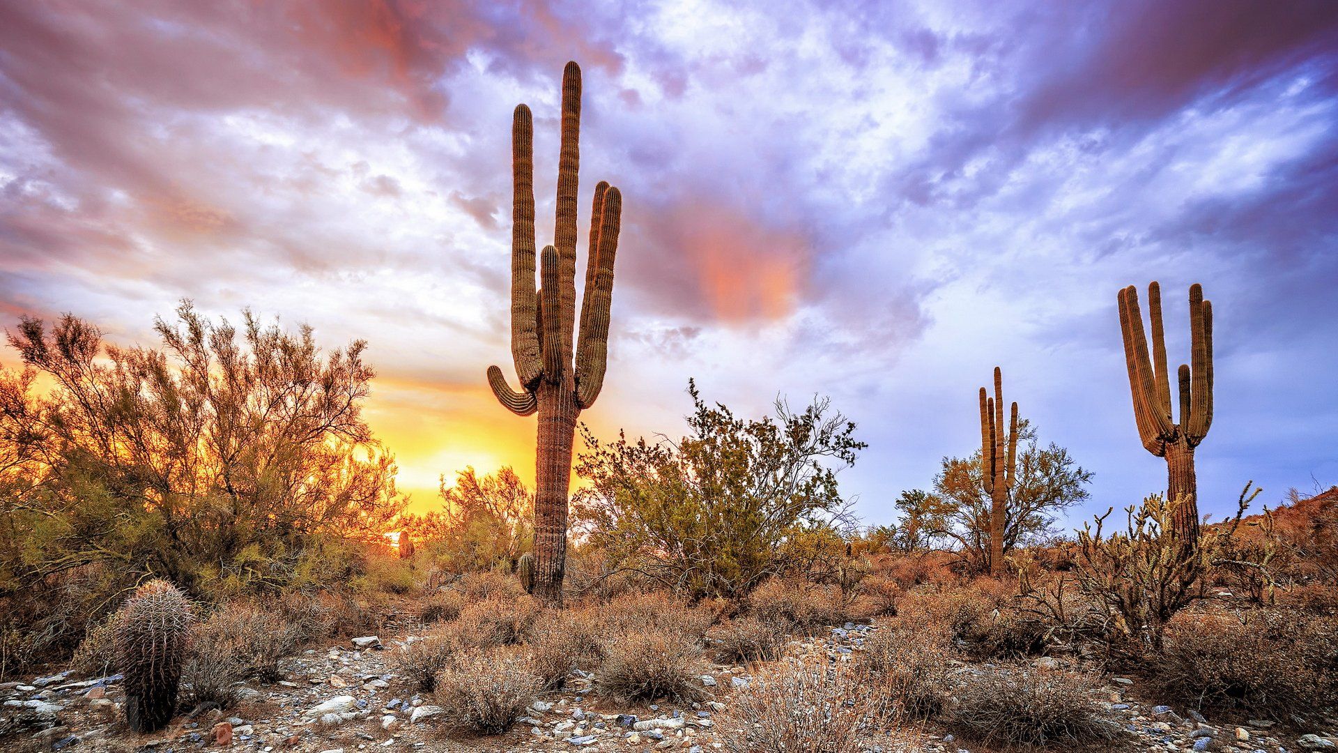 Aesthetic Arizona Wallpapers - Wallpaper Cave