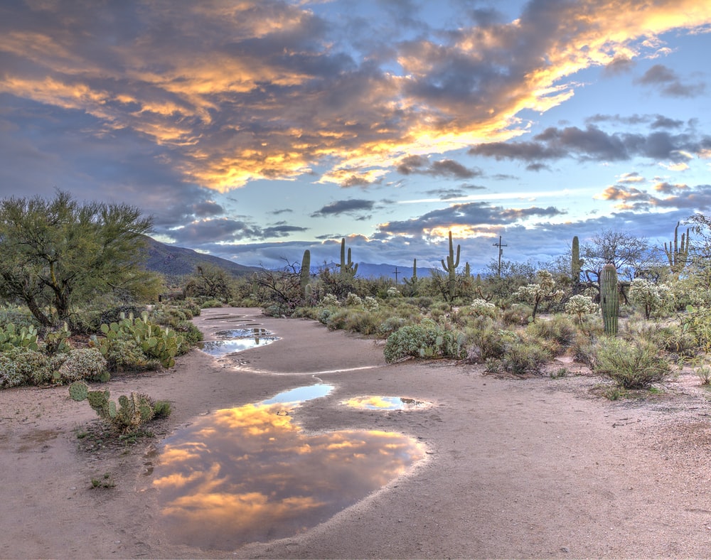aesthetic-arizona-wallpapers-wallpaper-cave